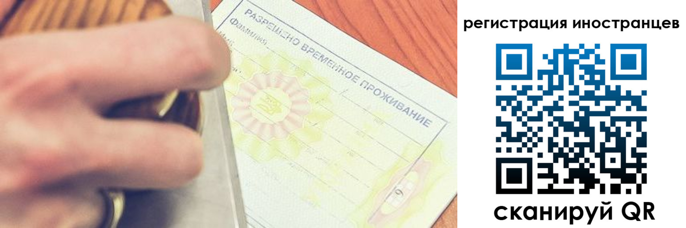 прописка в квартире в Светлогорске