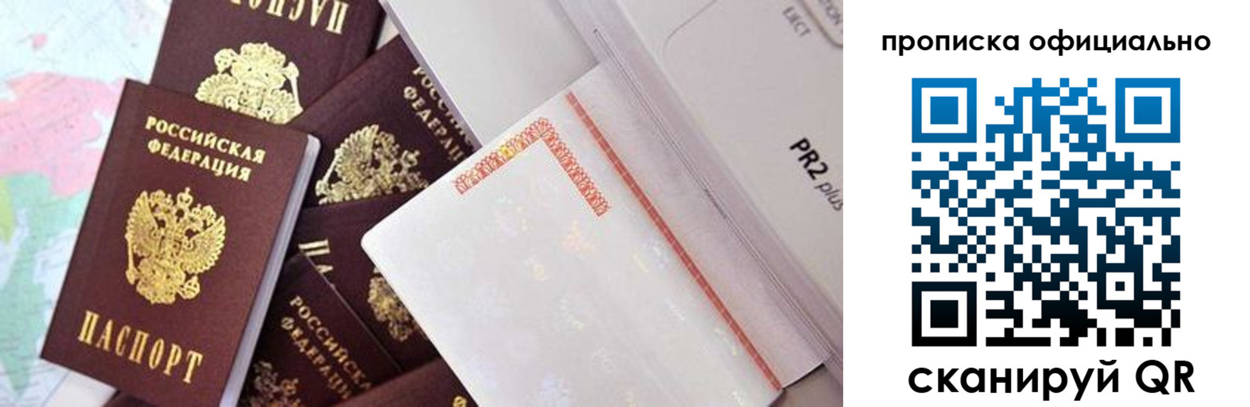 временная регистрация надежно в Светлогорске